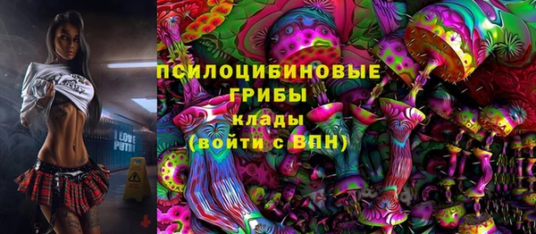кокс Аркадак